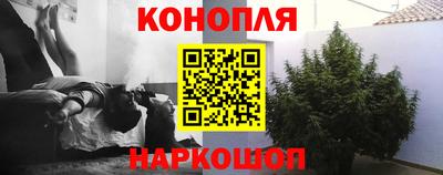 стаф Кунгур