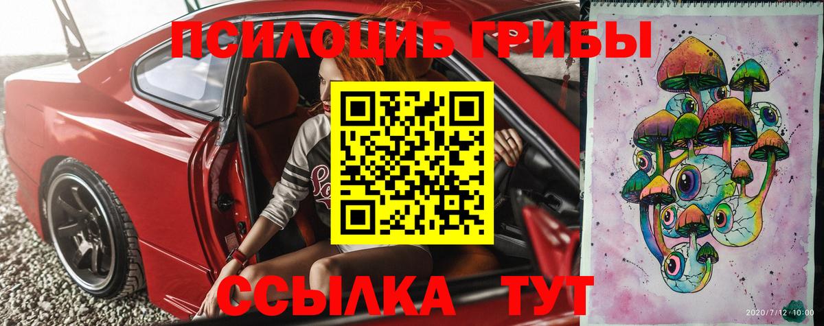 Псилоцибиновые грибы Psilocybine cubensis Ивантеевка