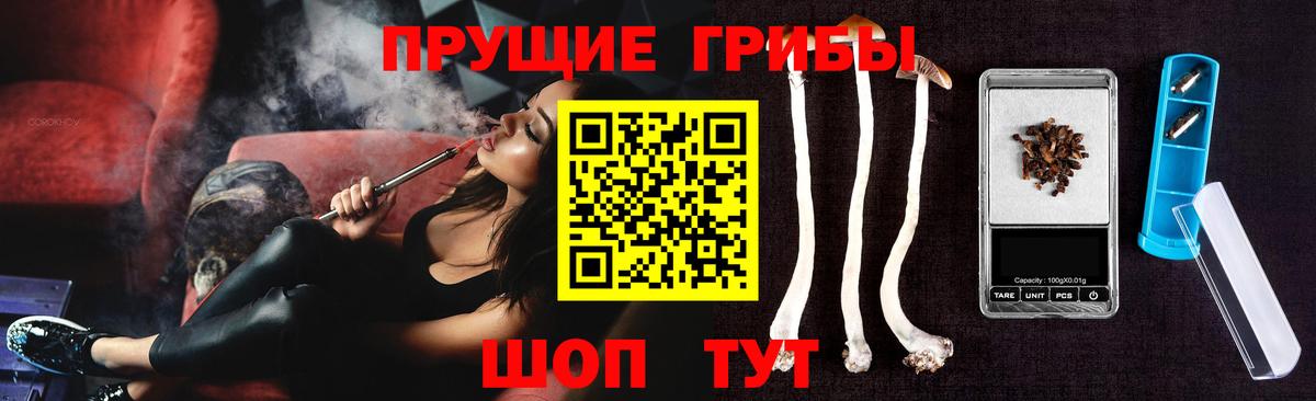 что такое   Псилоцибиновые грибы мицелий  Вход с VPN  Ивантеевка 